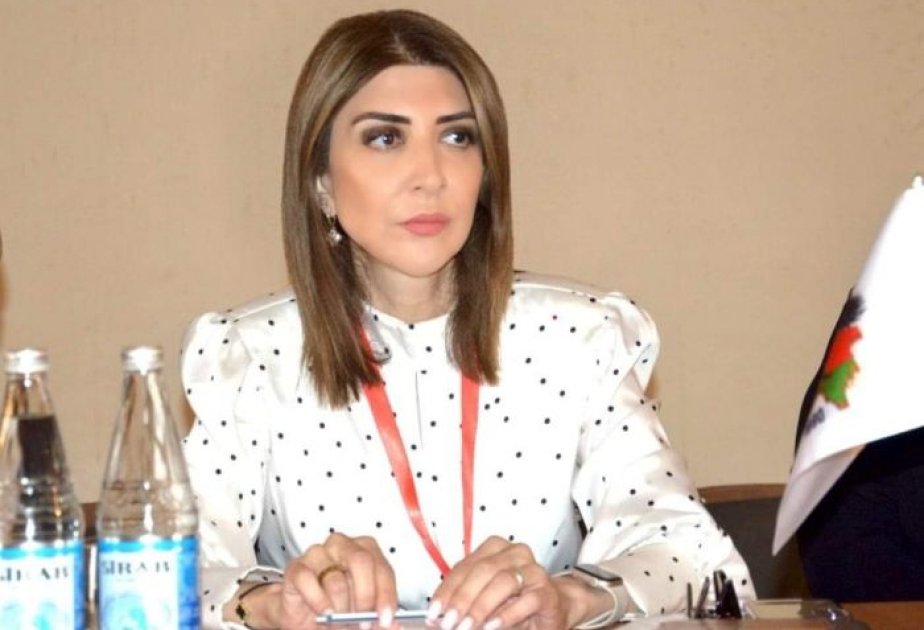 “İtkin düşmüş şəxslər” adlı qətnamənin qəbulu Ermənistanın işğalçı mahiyyətini açır ŞƏRH
