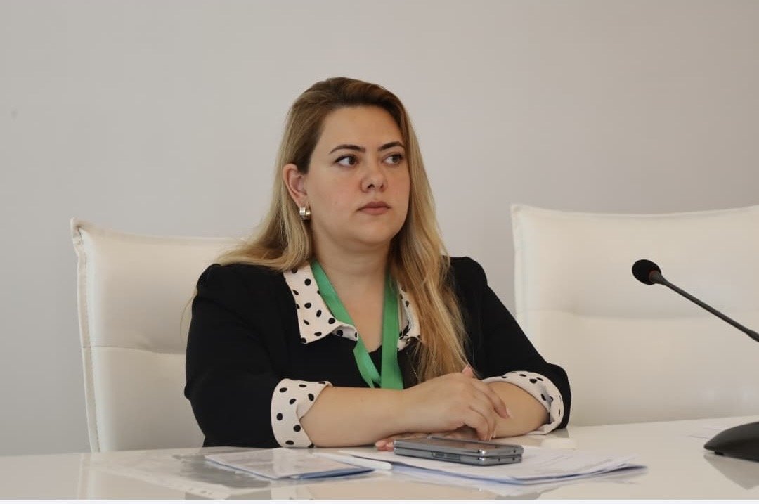 Yeni geosiyasi reallıqlar və perspektivlər