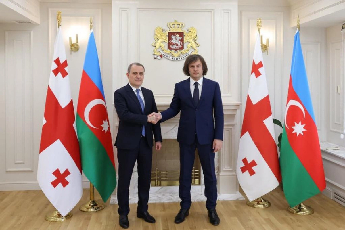 Kobaxidze Ceyhun Bayramovu qəbul edib