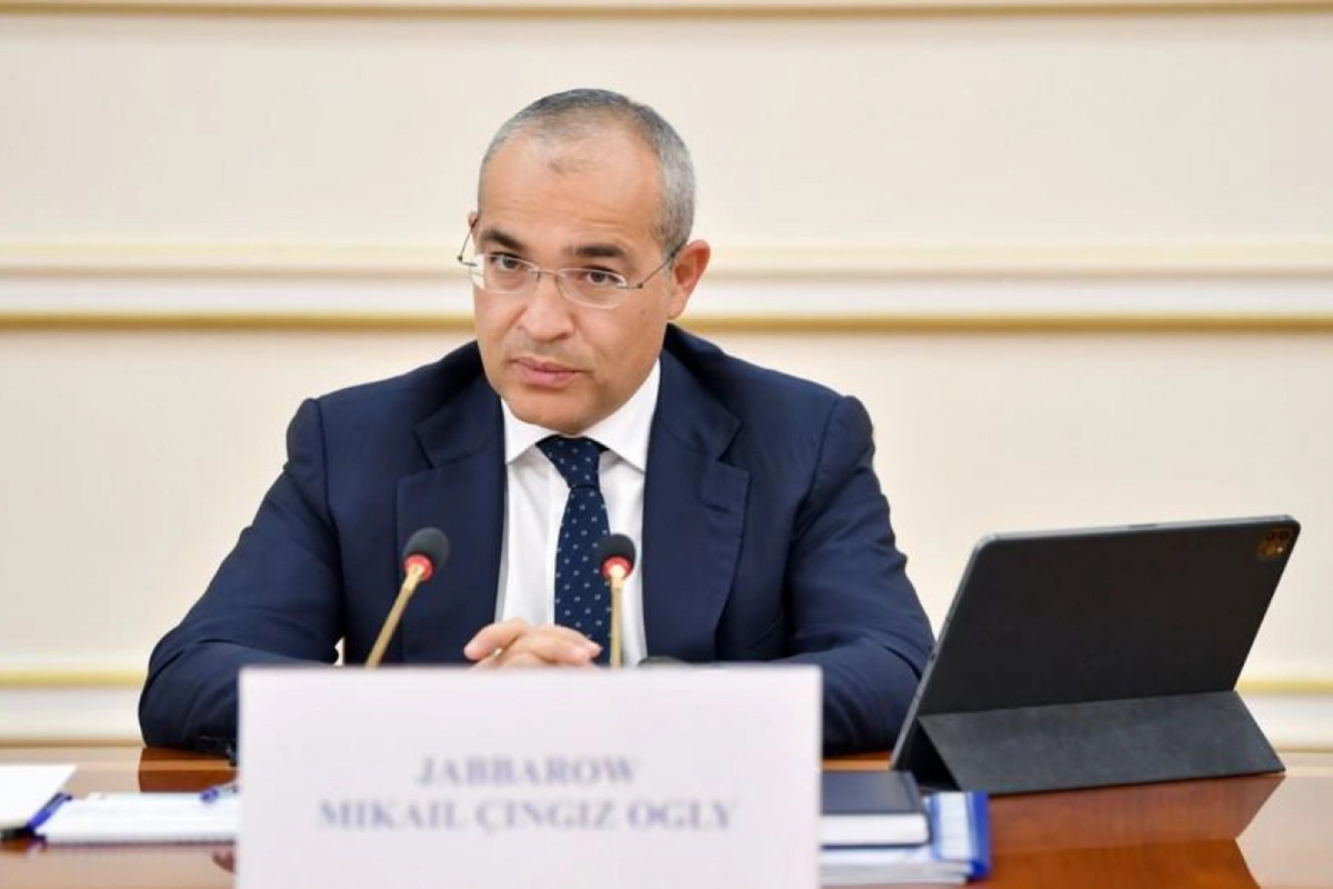 Mikayıl Cabbarov Ana Brnabiç ilə görüşüb
