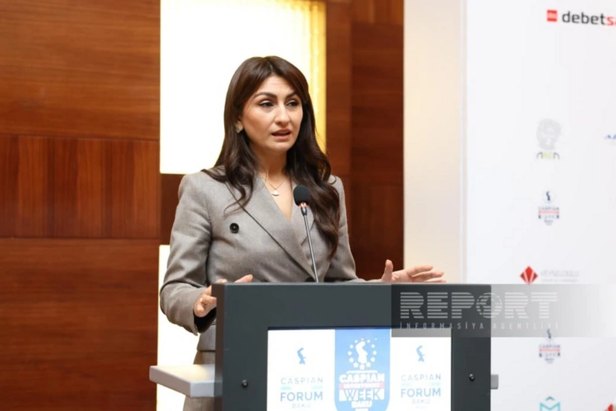 Samirə Musayeva: "Azərbaycan Aİ-yə ixrac edəcəyi məhsullara görə "karbon vergisi" ödəyəcək"