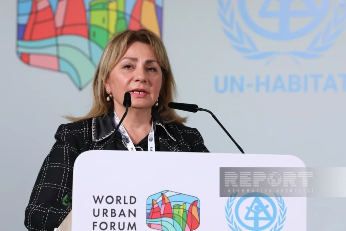 Gülşən Rzayeva: "Mənzil məsələsi ilə bağlı təhlükəsiz, dayanıqlı sistem olmalıdır"